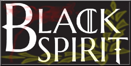 12- Logo Black Spirit.jpg